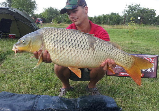 Octav Chertes loveste din nou, pe o balta din Ungaria
